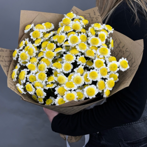 Букет "Моё солнышко" из 11 хризантем сантини  в Химках