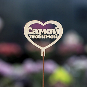 Топпер Самой Любимой в Химках