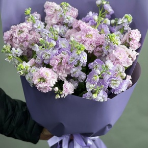 Букет из 15 ароматных маттиол микс в Химках