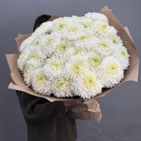 Букет из 27 хризантем Магнум в Химках
