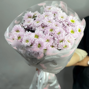 Букет "Нежный комплимент" из 9 кустовых хризантем в Химках