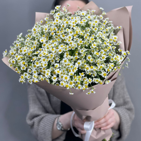 Букет из 17 полевых ромашек в Химках
