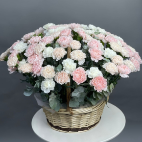 Композиция в корзине из 101 диантуса микс в Химках