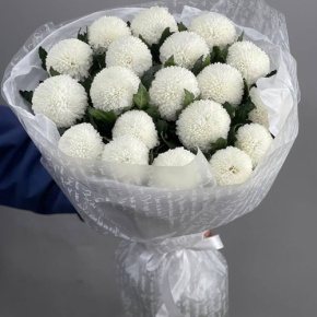 Букет "Сливки" из 19 хризантем Момоко в Химках