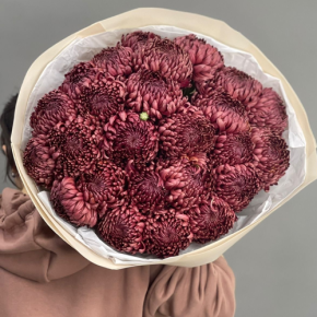 Букет 21 шоколадной хризантемы Бигоуди в Химках