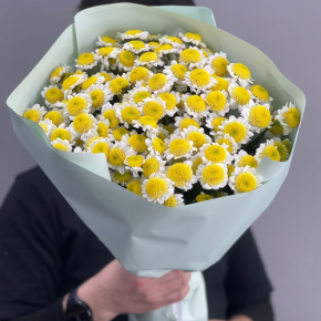 Букет "Моё солнышко" из 17 хризантем сантини в Химках