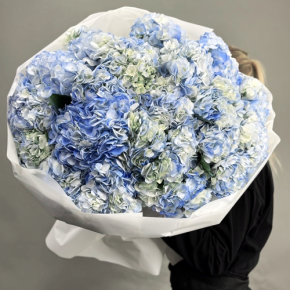 Букет из 23 синих гортензий в Химках