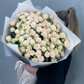 Букет из 25 кремовых кустовых роз (70 см) в Химках