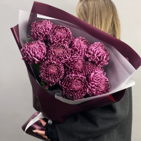 Букет "Изобилие" из 11 винных хризантем Бигоуди в Химках