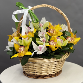 Композиция в корзине из 25 орхидей микс в Химках