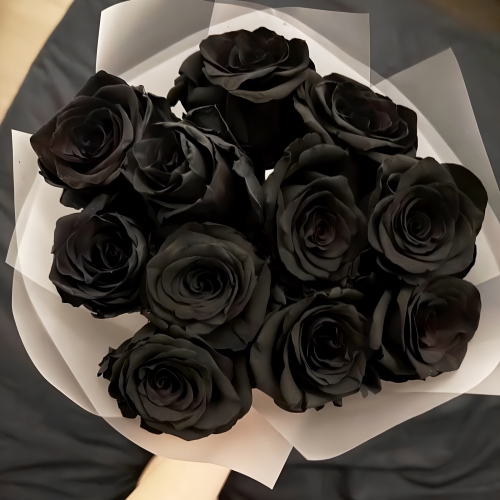 Букет "Черная королева" из 11 черных роз Эквадор (60 см) в Химках