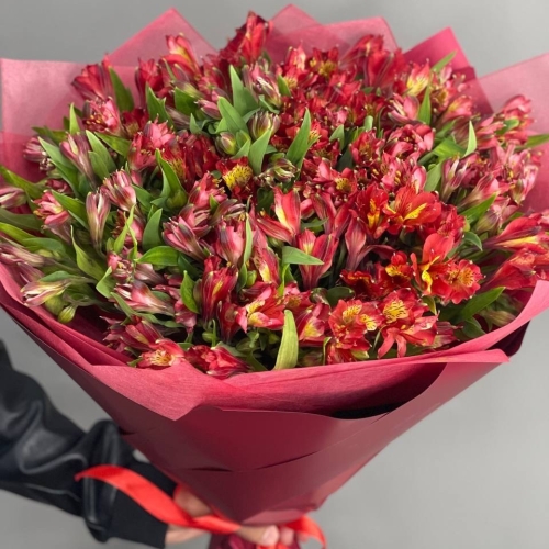 Монобукет из 25 красных альстромерий в Химках