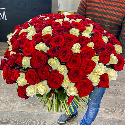 Букет 151 роза красный и белый микс (60 см) в Химках
