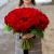 101 красная роза (50 см) в Химках