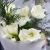 Букет "Путеводная звезда" из белых амариллисов и нобилиса в Химках