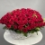 Композиция в корзине из 75 красных роз в Химках Композиция в корзине из 75 красных роз в Химках