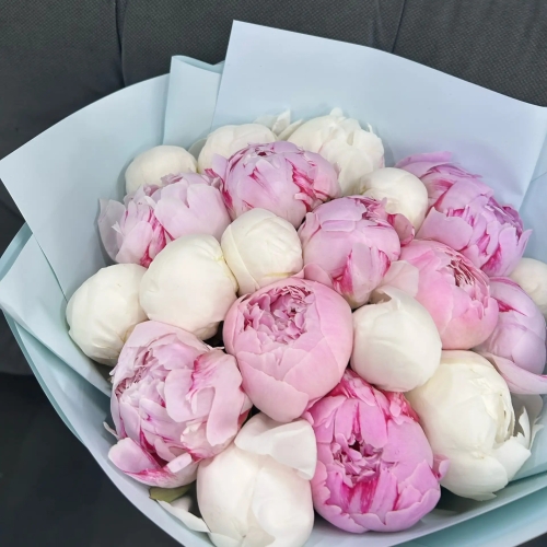 Микс из 19 бело-розовых пионов в Химках