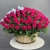 Композиция в корзине из 151 малиновой розы в Химках Композиция в корзине из 151 малиновой розы в Химках